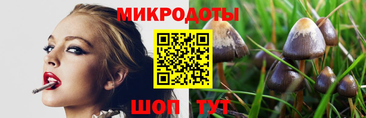 Галлюциногенные грибы Cubensis Воскресенск
